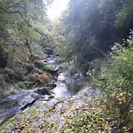 بيت خشبي Ecogites Camparols *