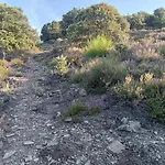 بيت خشبي Ecogites Camparols