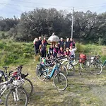 بيت خشبي Ecogites Camparols Prémian