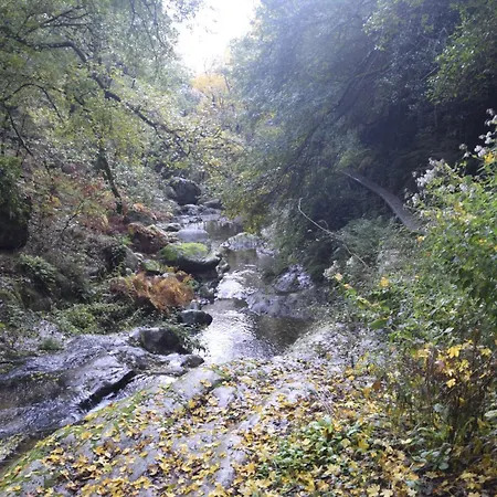 אכסניה Ecogites Camparols *