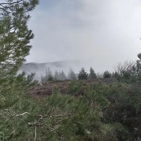 Ecogites Camparols אכסניה Prémian