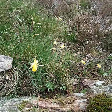 Ecogites Camparols *