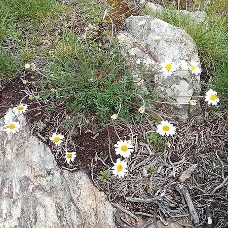 Ecogites Camparols * Prémian