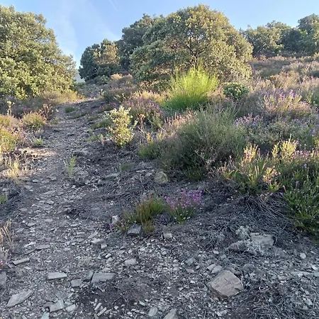 אכסניה Ecogites Camparols