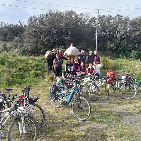 אכסניה Ecogites Camparols Prémian