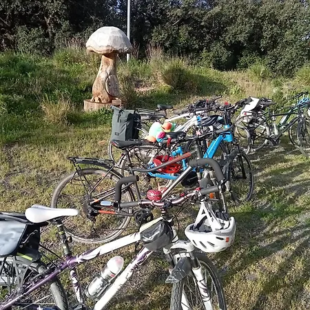 אכסניה Ecogites Camparols