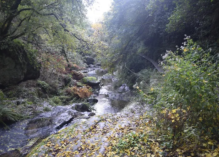 Lodge Ecogites Camparols *