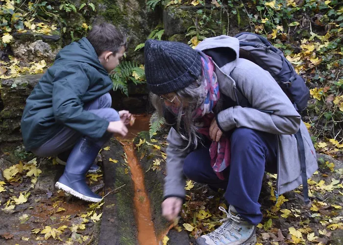 Lodge Ecogites Camparols Prémian