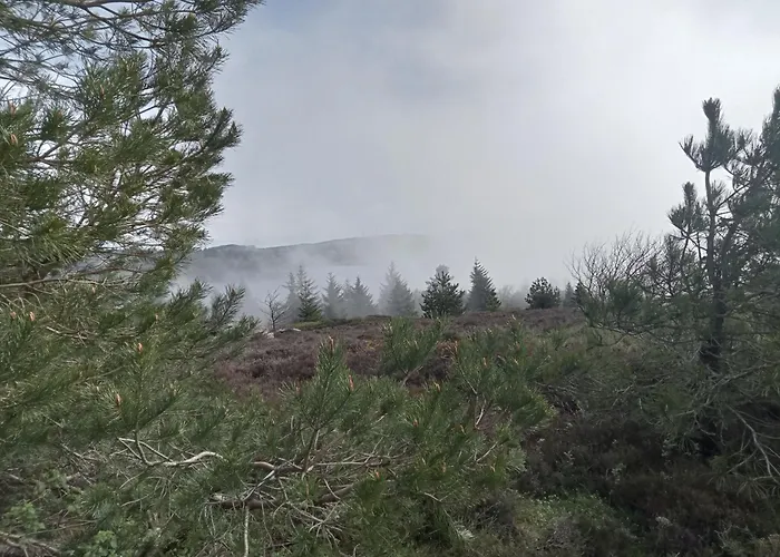 Ecogites Camparols Lodge Prémian