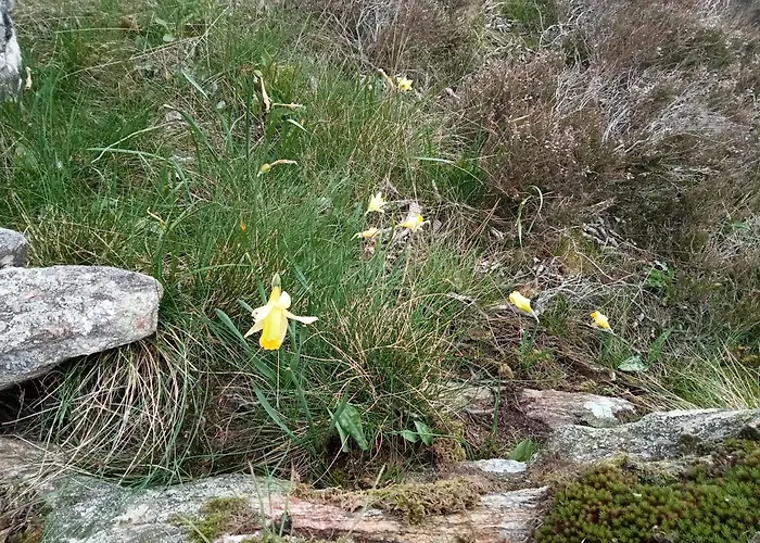 Ecogites Camparols *