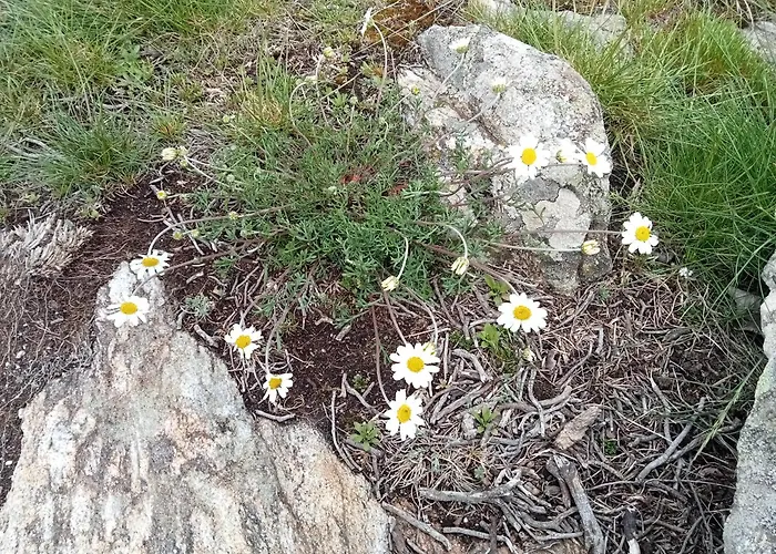 Ecogites Camparols * Prémian