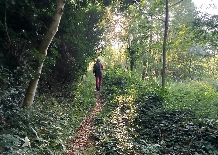 Ecogites Camparols * Prémian