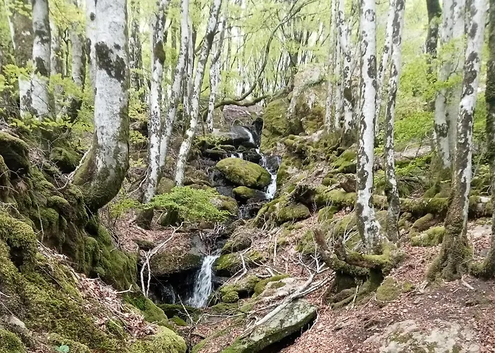 Ecogites Camparols Lodge *