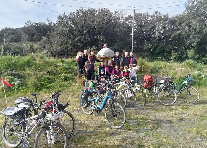 Lodge Ecogites Camparols Prémian